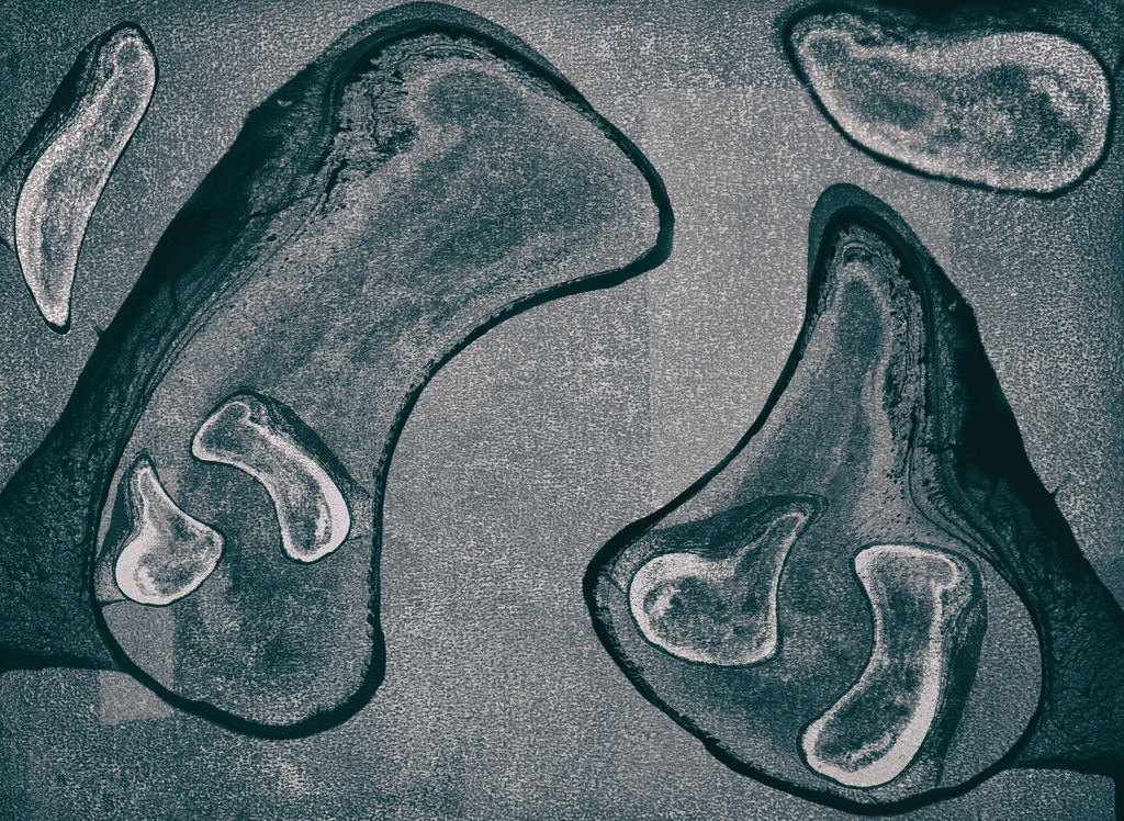 proxies-in-my-head-proxies